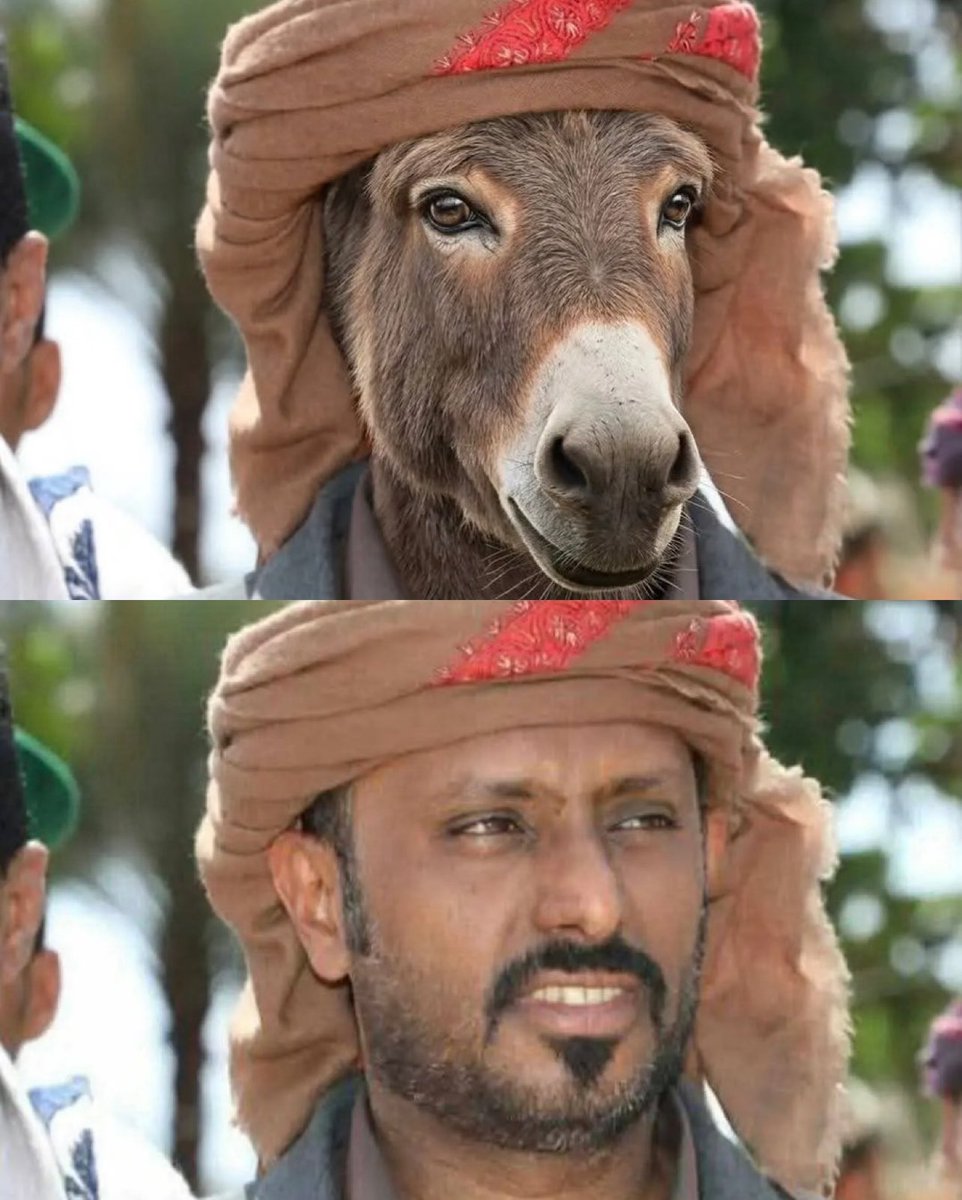 عمر خالد الامير tweet media