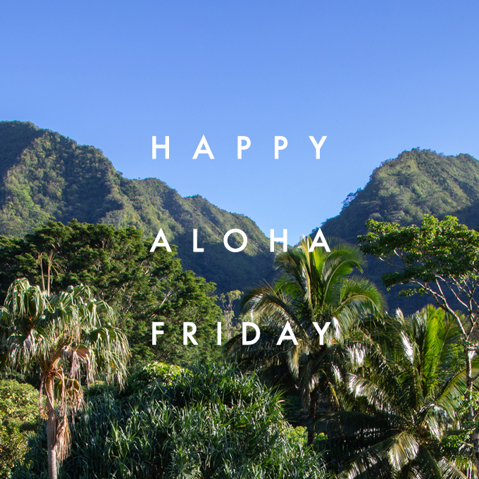 University of Hawaii at Manoa tweet media