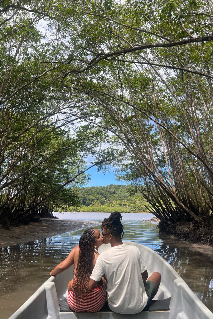 cavalo do cão 🐑💨 tweet media