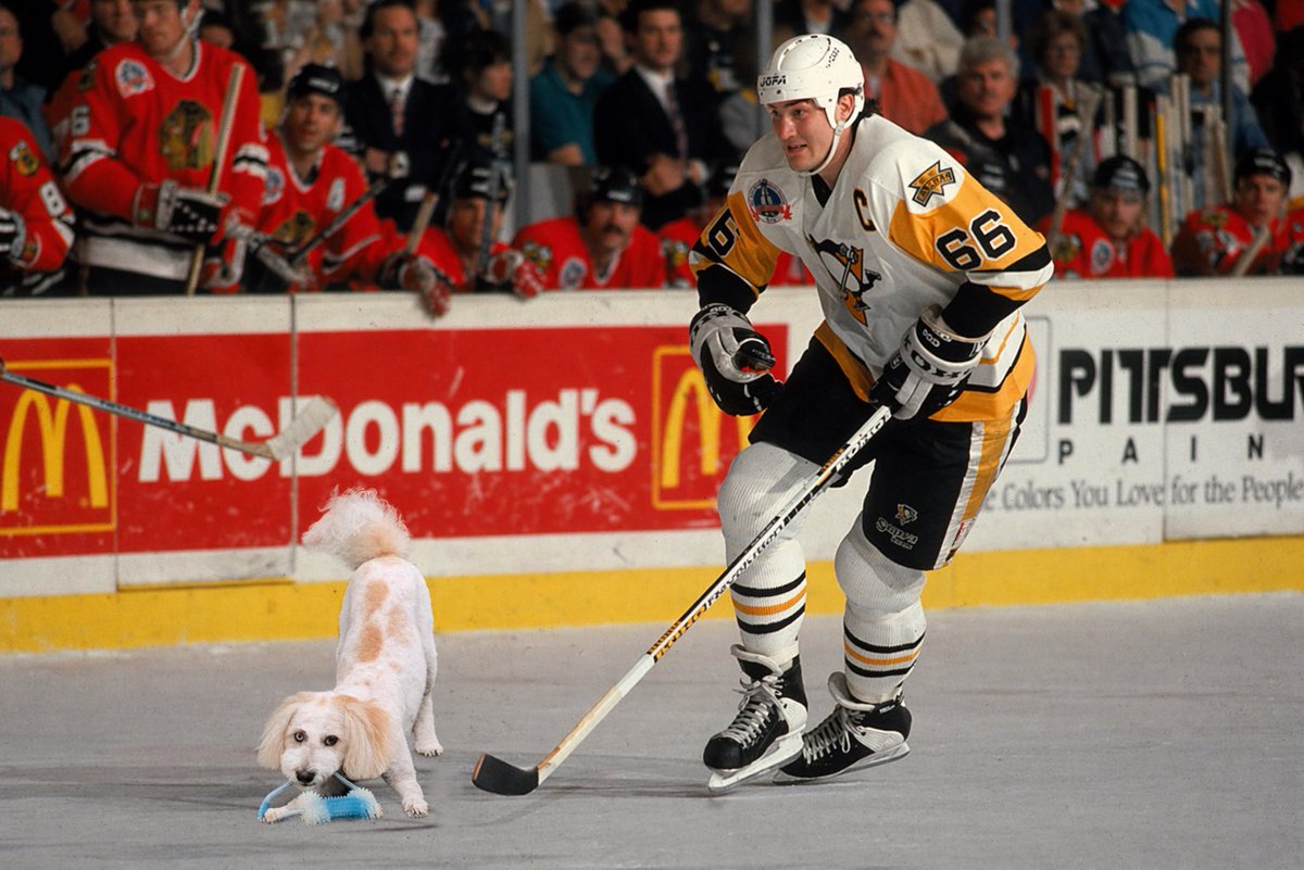 doodledog412's tweet image. Did you know that Mario Lemieux was the first player in the NHL to score a full-strength, power play, short-handed, penalty shot, and open net goal in the same game? 🐶 #FunfactsFriday
