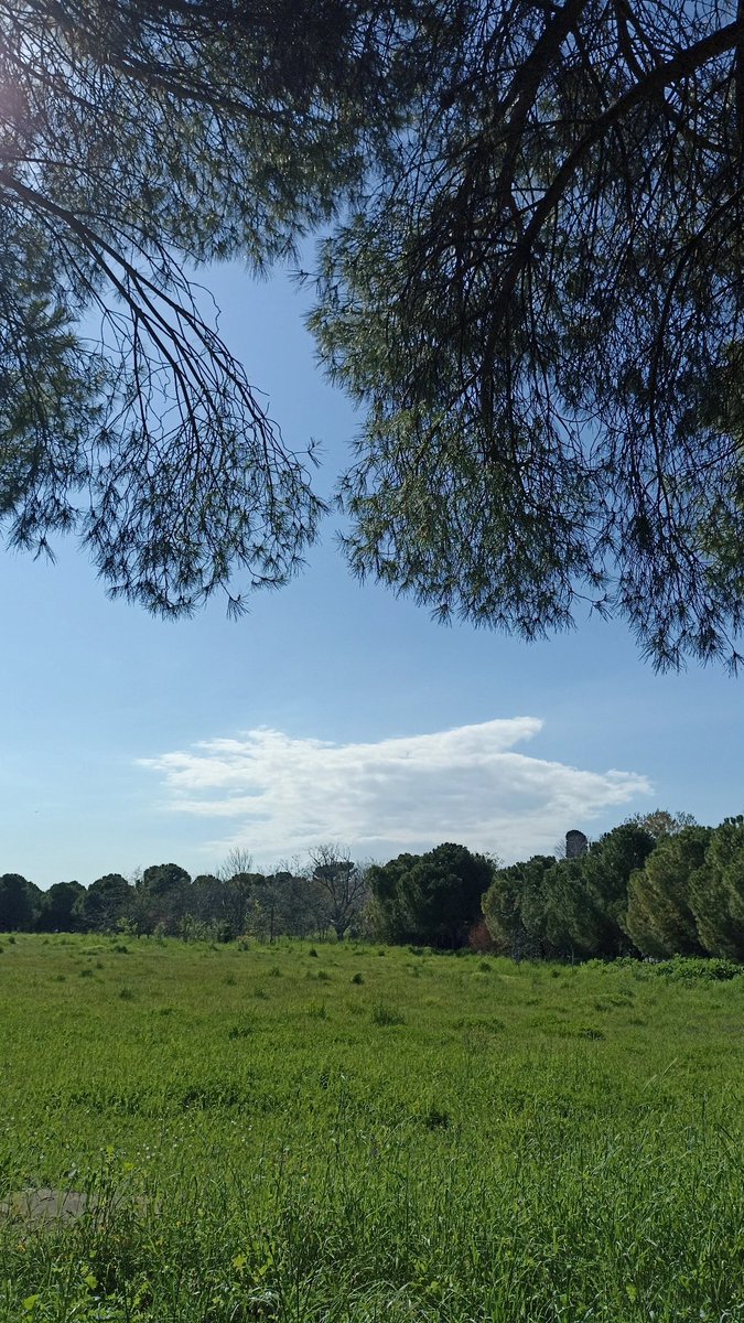 22Songul77's tweet image. #green and #blue