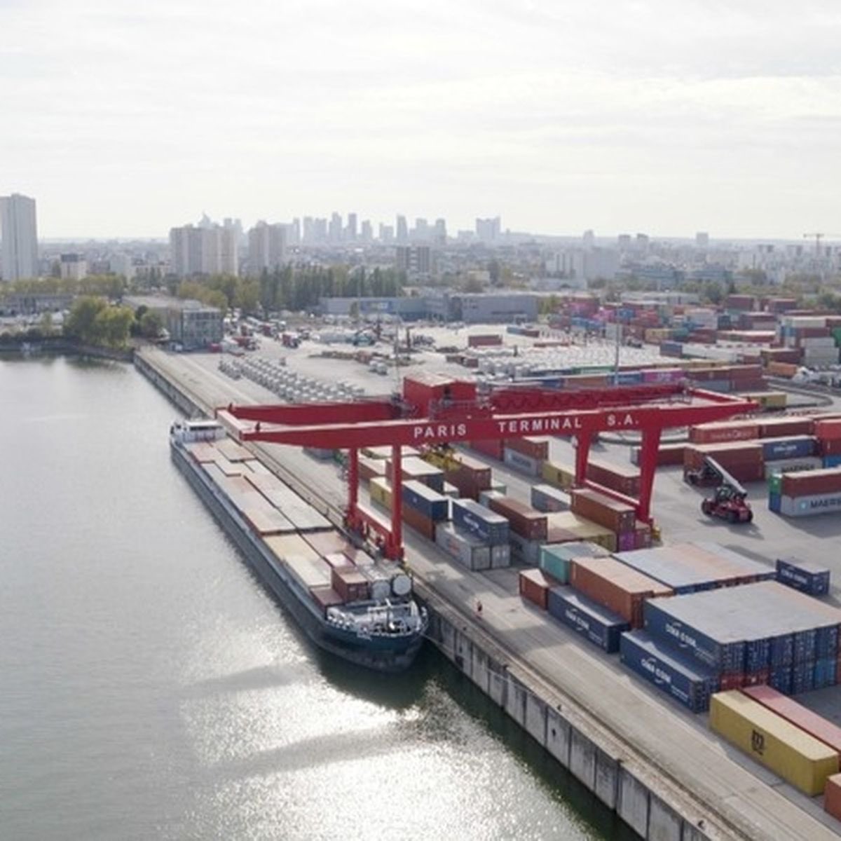 Dra. DeMente | Divulgacion tweet media