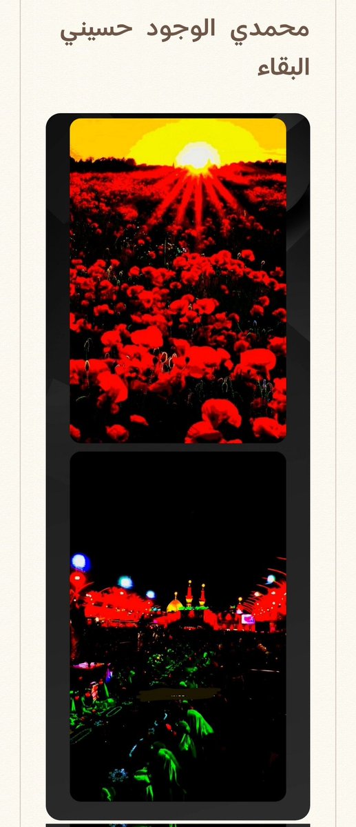 @mhkaltaiy tweet media