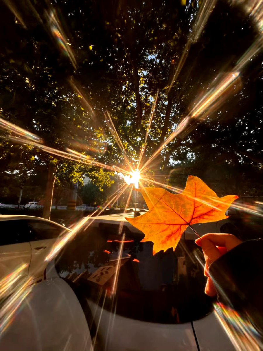 Bassam Motreb tweet media