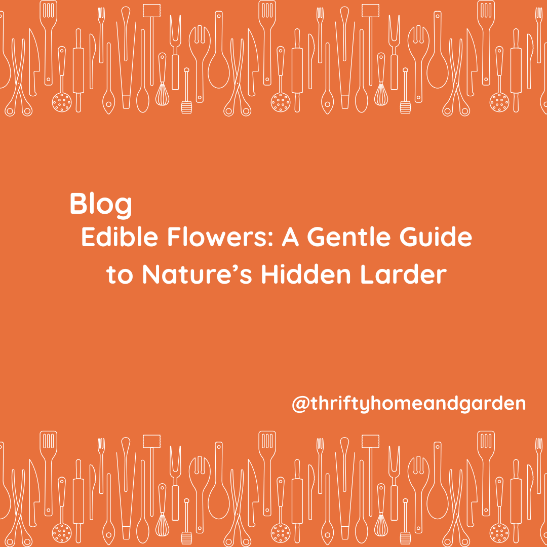 thriftyhomegrdn's tweet image. There’s something quietly magical about edible flowers — a simple way to turn everyday meals into something rather lovely. 🌸

thesarahcoles.co.uk/edible-flowers/

#EdibleFlowers #GrowYourOwn #GardenInspiration #SeasonalLiving #SimplePleasures #FromGardenToPlate #FlowerPower #KitchenGarden