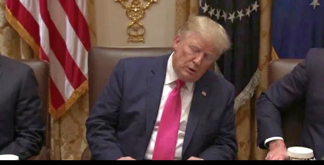 guyfelicella🇨🇦🍁 tweet media