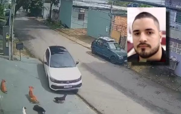 Este é Jefferson Buhler Figliuolo, de 35 anos, preso em flagrante por arremessar o carro contra a calçada, atropelando 6 cães de rua que estavam deitados.

Uma fêmea, que estava amamentando, morreu. 2 seguem internados e 3 já receberam alta. O criminoso tentou fugir, mas foi
