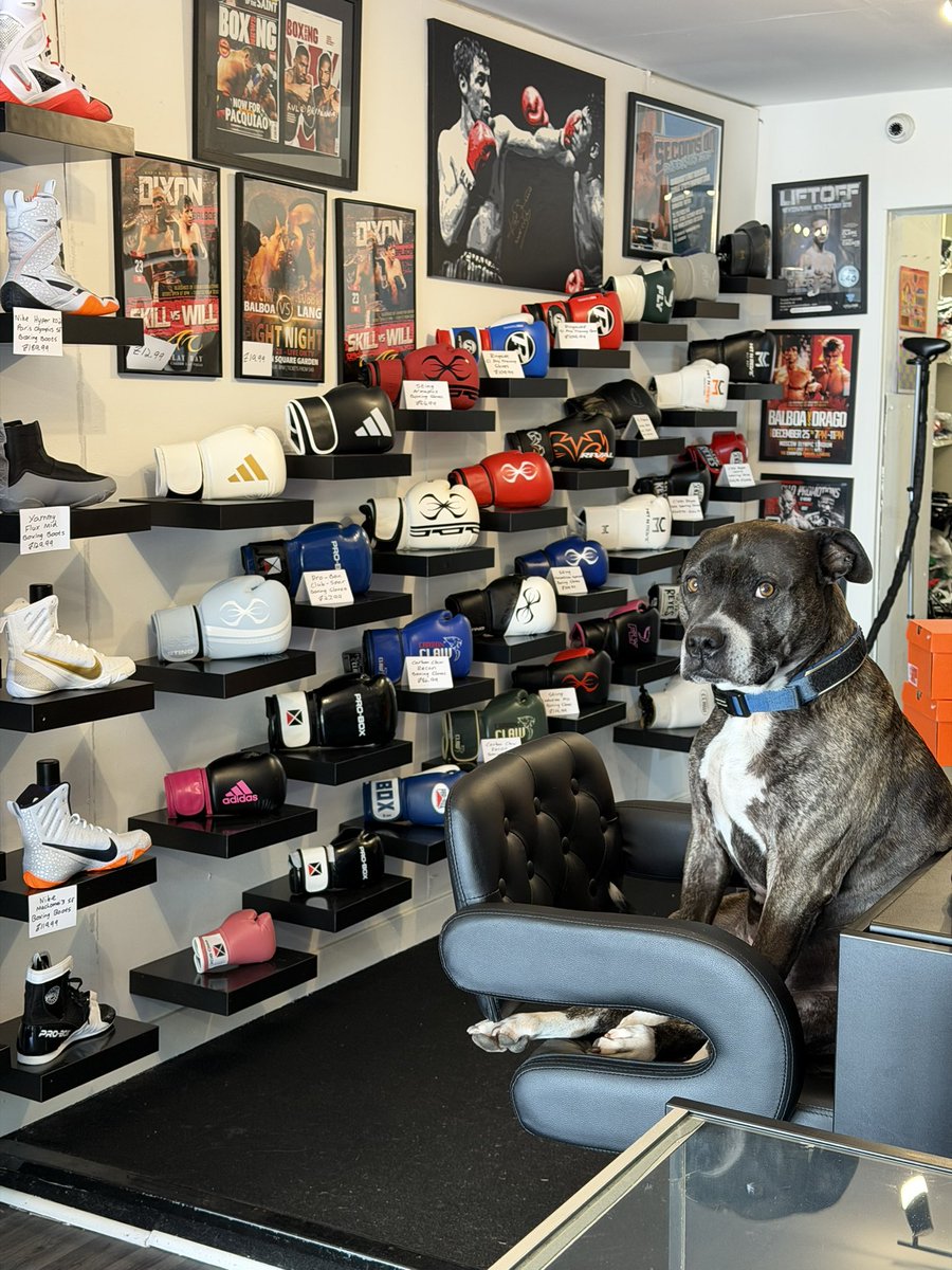 Seconds Out Fight Store tweet media