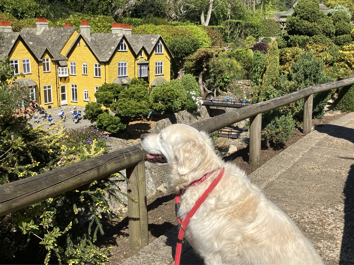 Either I’ve been overeating or they’re building houses smaller these days.