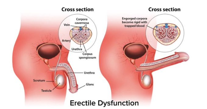 Manhood Lab tweet media