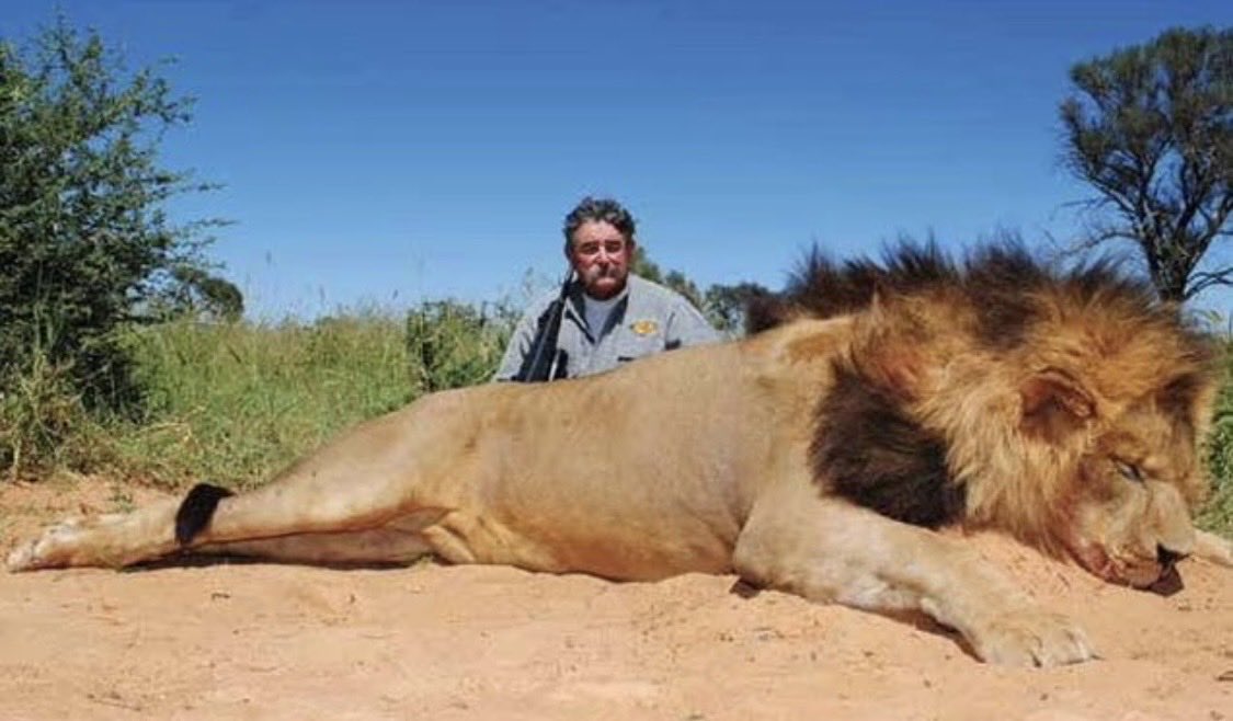 The Real KING OF THE JUNGLE tweet media