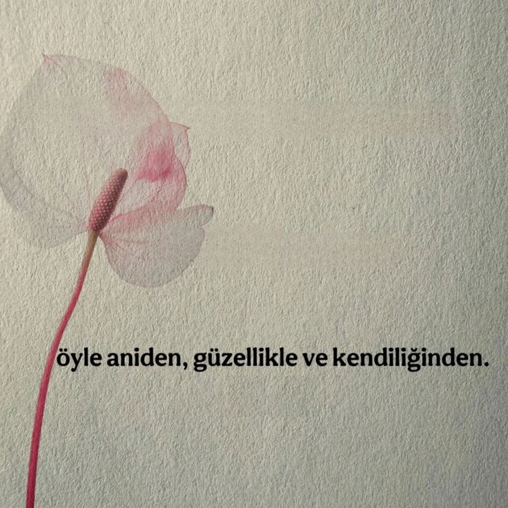 ihtiyaç