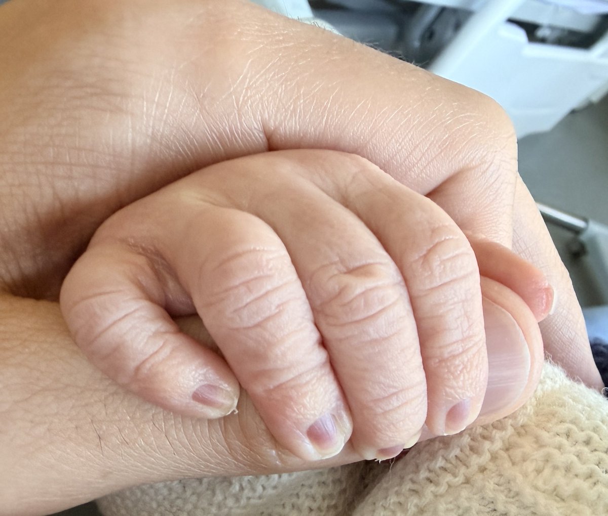 Cid | La Taverne du Gamer🎙️ tweet media