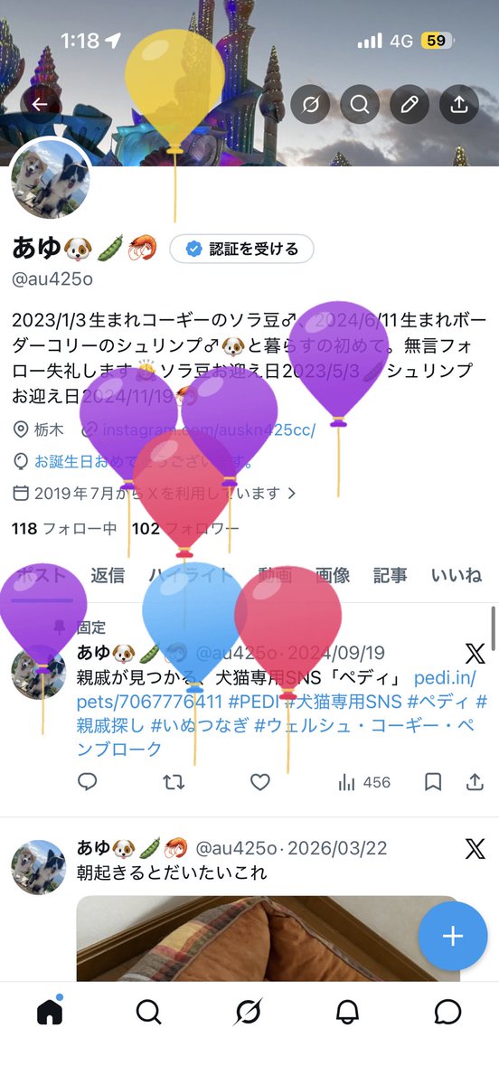 au425o's tweet photo. 風船飛んでます🎈
25歳になりました😶

今朝のソラ豆も載せとく https://t.co/IVkgREwdl7
