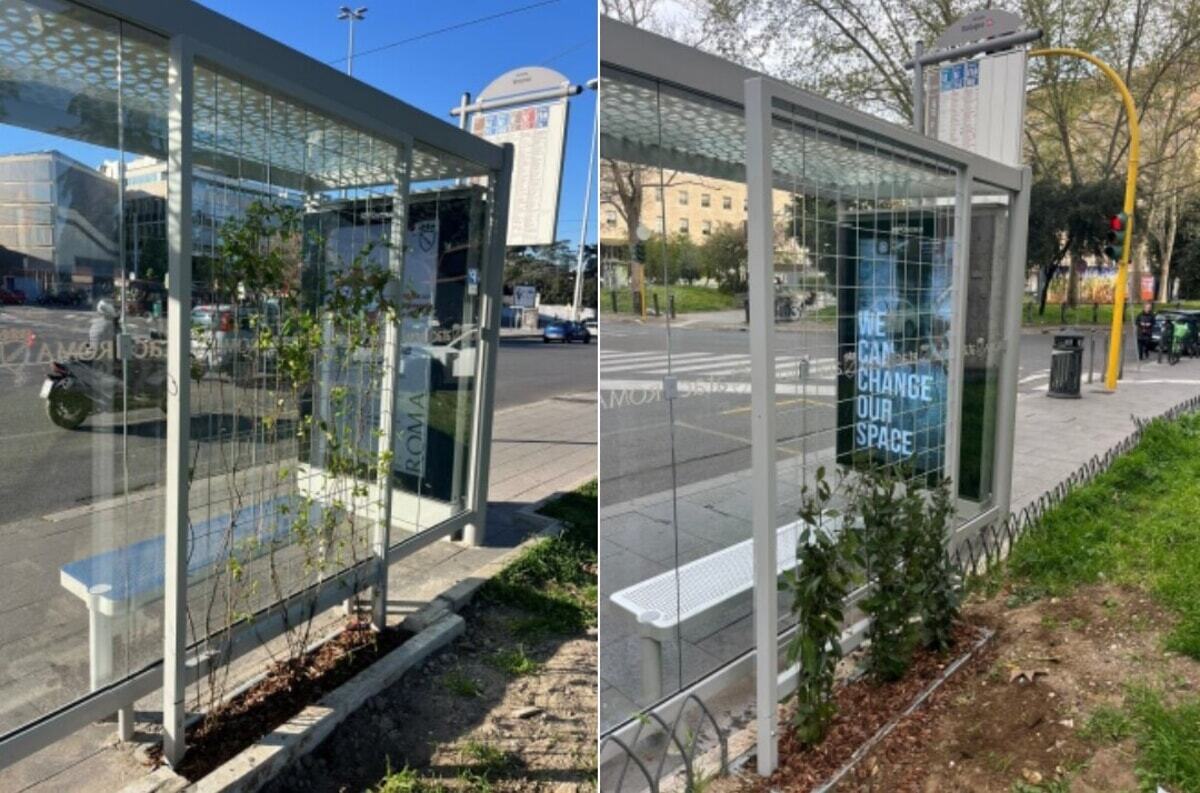 Roma Today tweet media