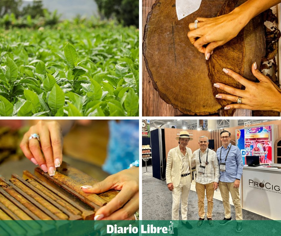 DiarioLibre's tweet photo. 💰 |#EconomíaDL| ¿A cuántos países República Dominicana exporta cigarros hechos a mano y quién se mantiene como el principal socio?
Conoce la historia completa aquí https://t.co/E51dV89hrs
#DiarioLibre #ExportacióndeCigarros #Intabaco #IndustriaTabacalera #TabacoDominicano https://t.co/EE5YHdrZSP