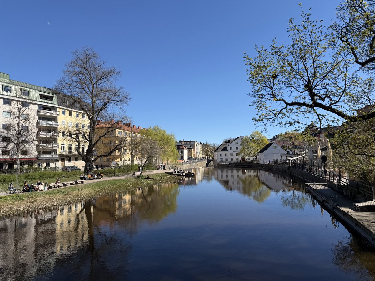 Nathan Robert tweet media