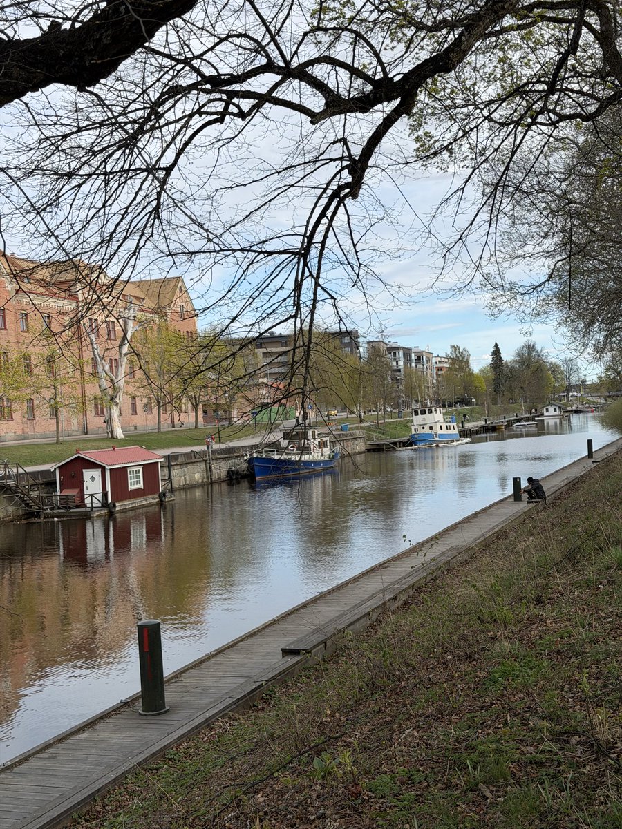 Nathan Robert tweet media