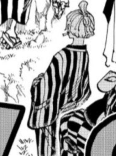 Fryin me, look at their yaoi size difference man. Zoro's so thick and huge his neck is like twice the size of Sanji's neck