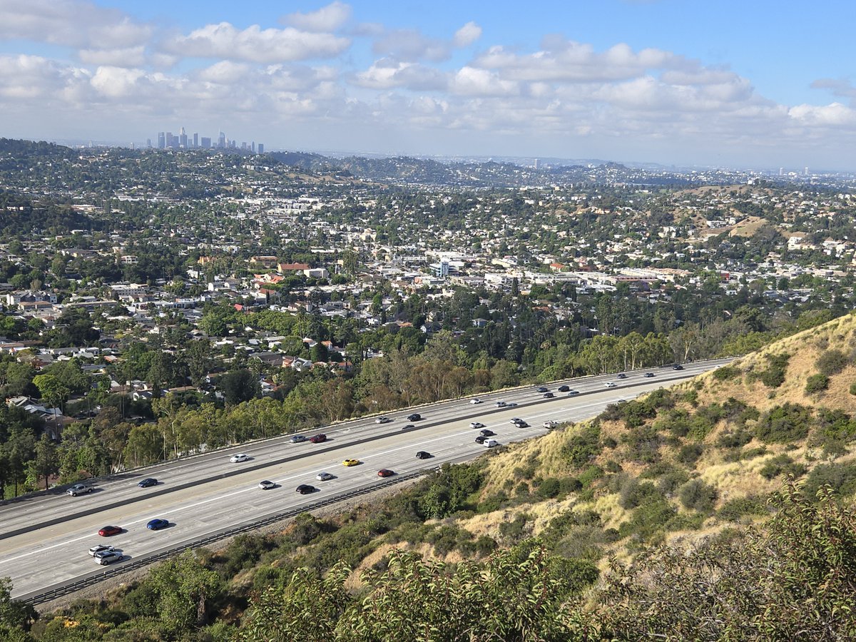L.A. Dork tweet media