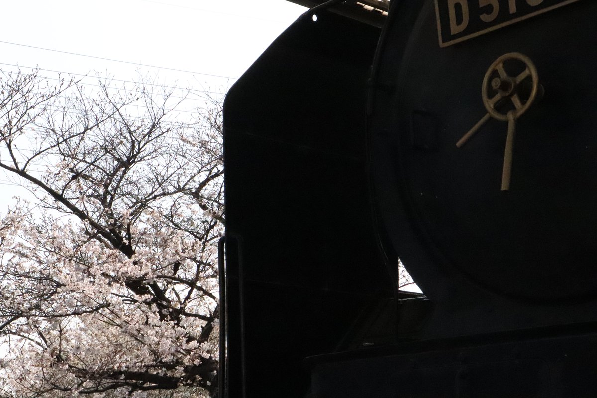 CBcrimrose's tweet photo. #花雑2026

D51を添えて https://t.co/UYZs1a0Sp0