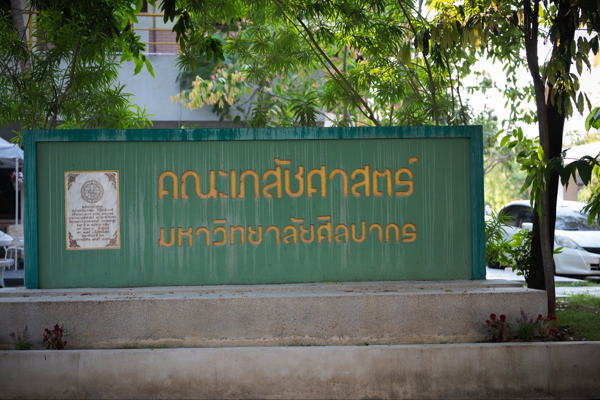 🌻🌻 tweet media