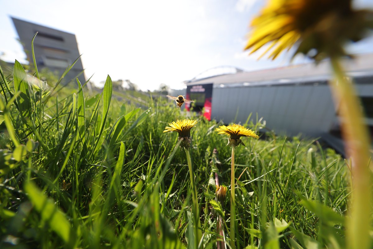 RB Leipzig tweet media