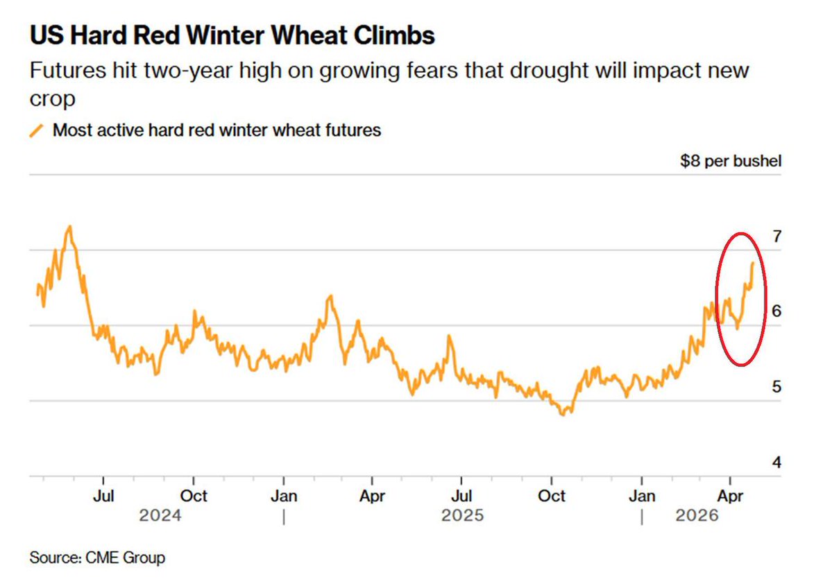 Mario Nawfal tweet media