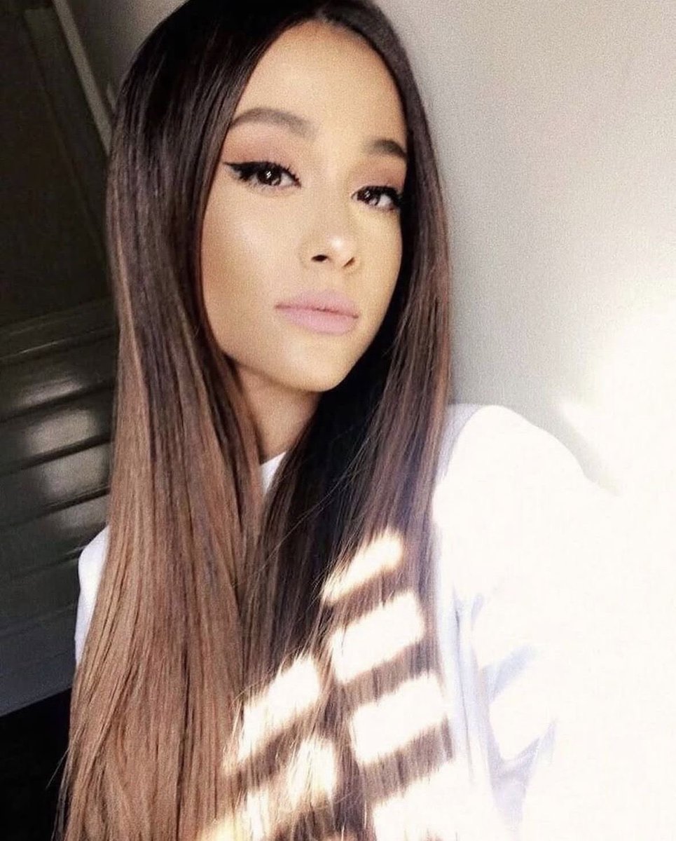 annika⋆˚ꕤ˖° tweet media