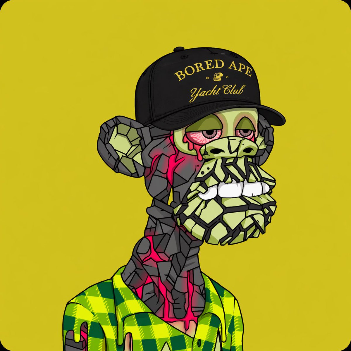 𝔖𝔱𝔢𝔩𝔩𝔞 tweet media