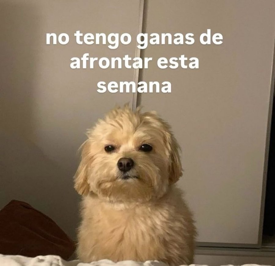 Salvador Iglesias Jr tweet media