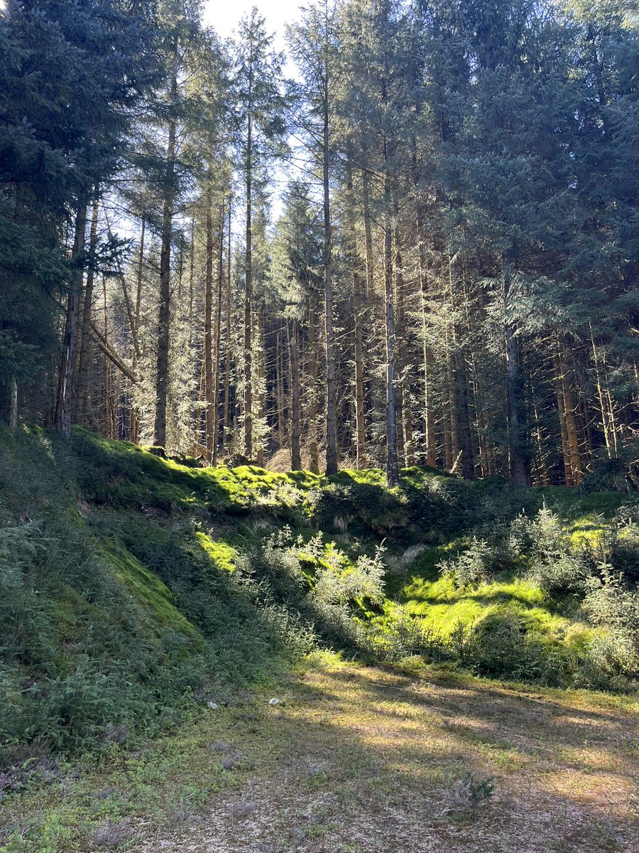 𝑴𝒊𝒔𝒔 𝑴𝒆𝒔𝒔𝒂𝒈𝒆𝒓 tweet media