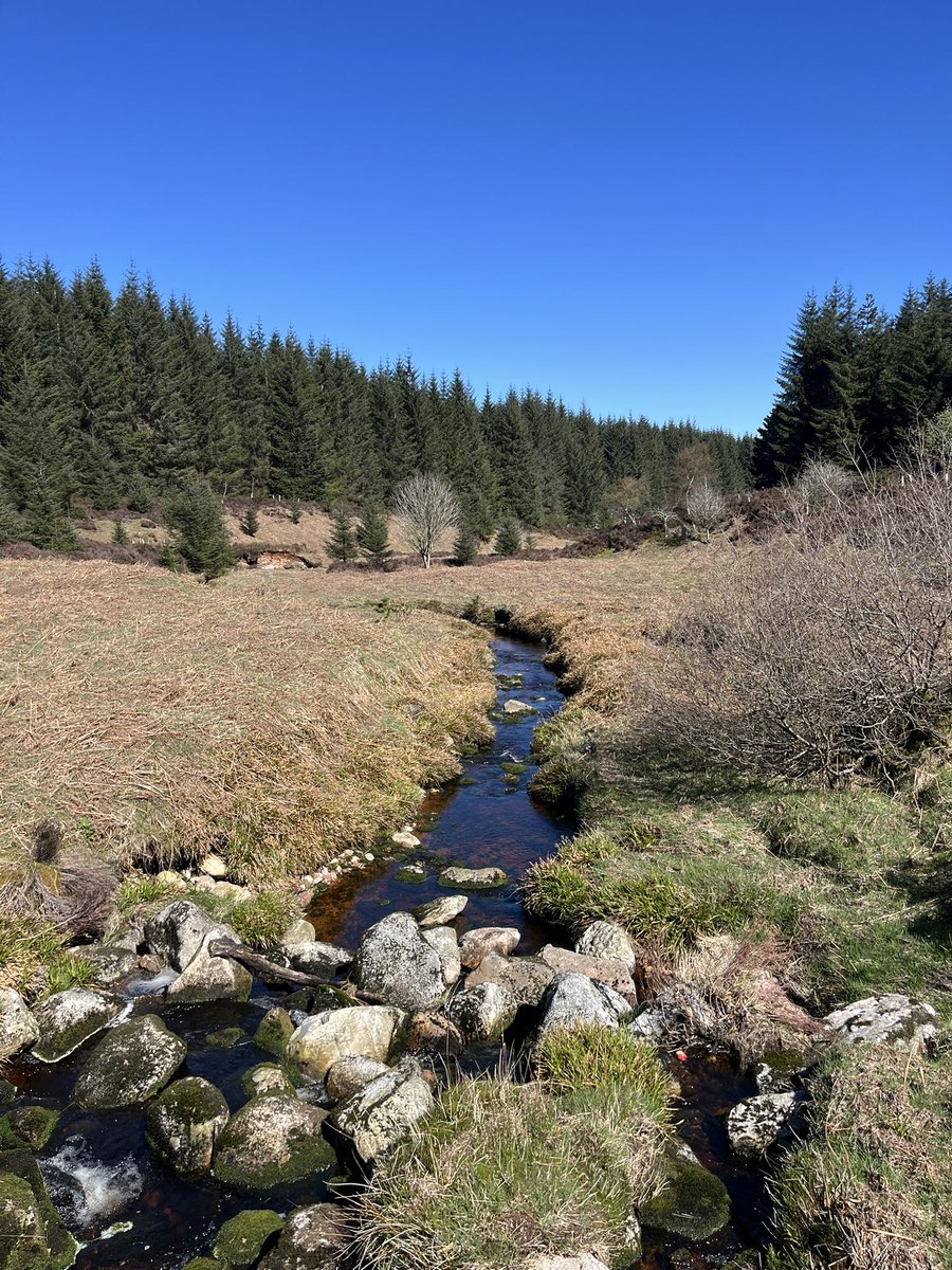 𝑴𝒊𝒔𝒔 𝑴𝒆𝒔𝒔𝒂𝒈𝒆𝒓 tweet media