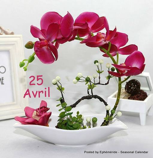 Ainsi parle l’Histoire – 25 avril

Évènement du 25 avril          

nimareja.fr/ainsi-parle-lh…