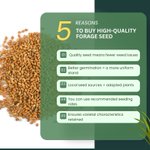 Photo by Saskatchewan Forage (@saskforage)