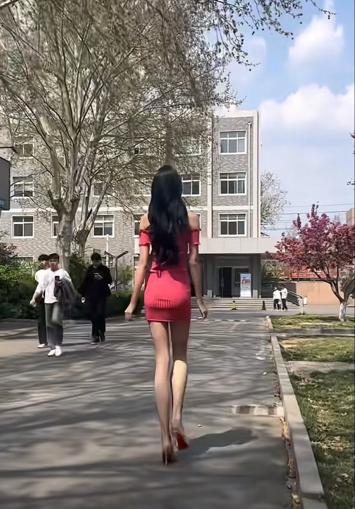 Linlinhh tweet media