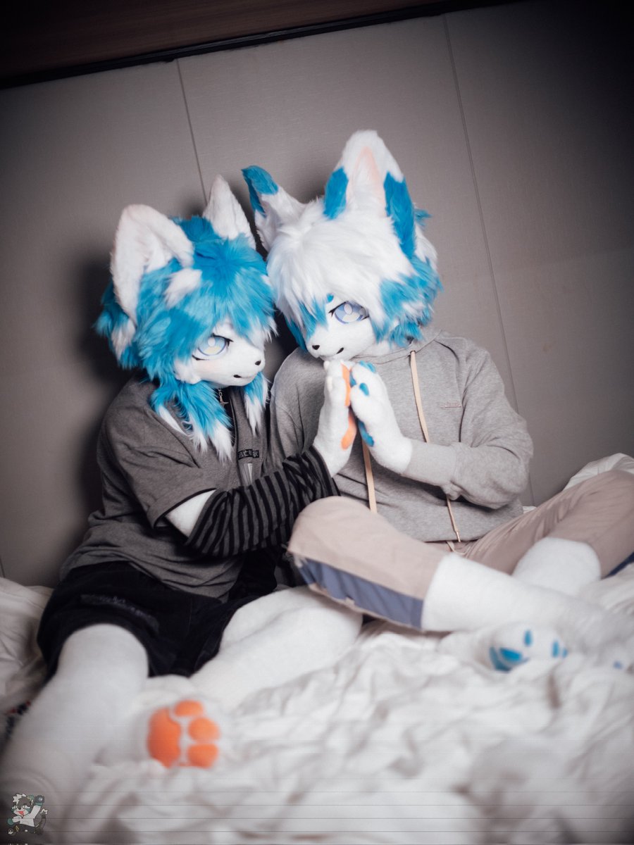 迪尔&DR🔜兽行迹 tweet media