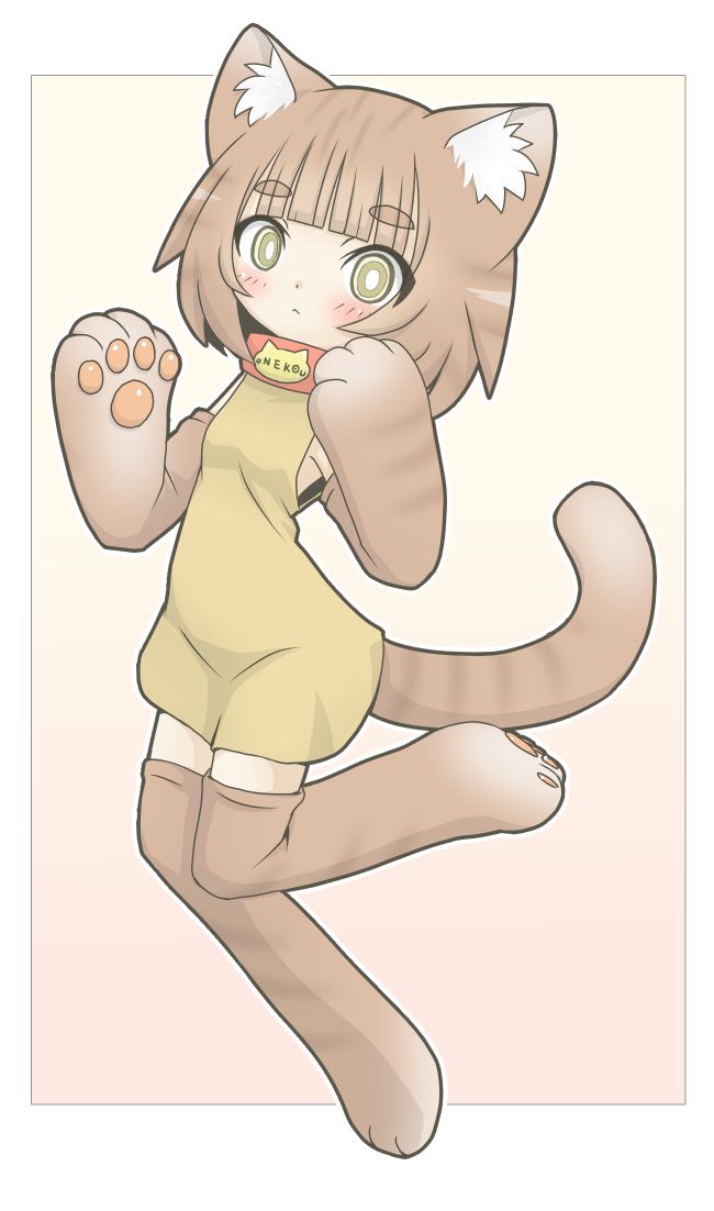 ﾈｺﾁｬﾝ