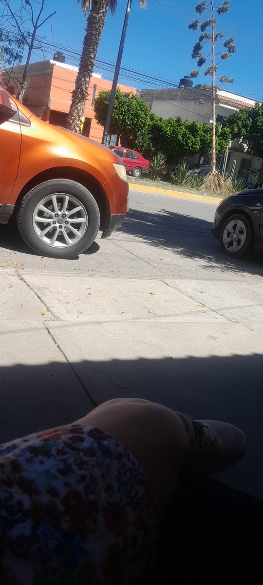 abi rodriguez tweet media