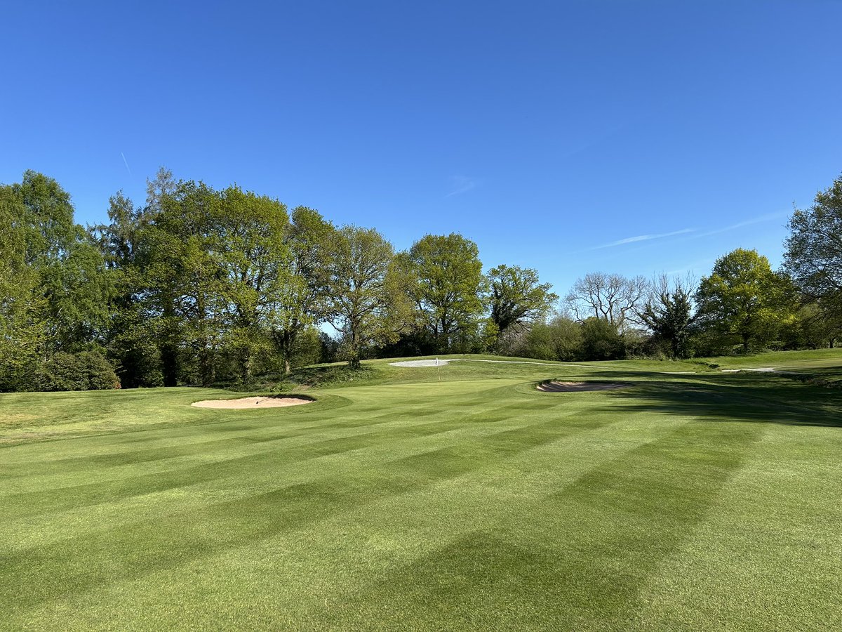 MarkSim93794378's tweet image. Greens switched &amp;amp; cut, holes changed, bunker tops strimmed, blown &amp;amp; raked, tees cut, blown &amp;amp; full tee divot, followed by irrigation cycle 💦 rough cutting completed, approaches &amp;amp; run-offs cut, machinery maintenance &amp;amp; maintenance facility tidy up 

#greenkeeping @MonmouthshireGC