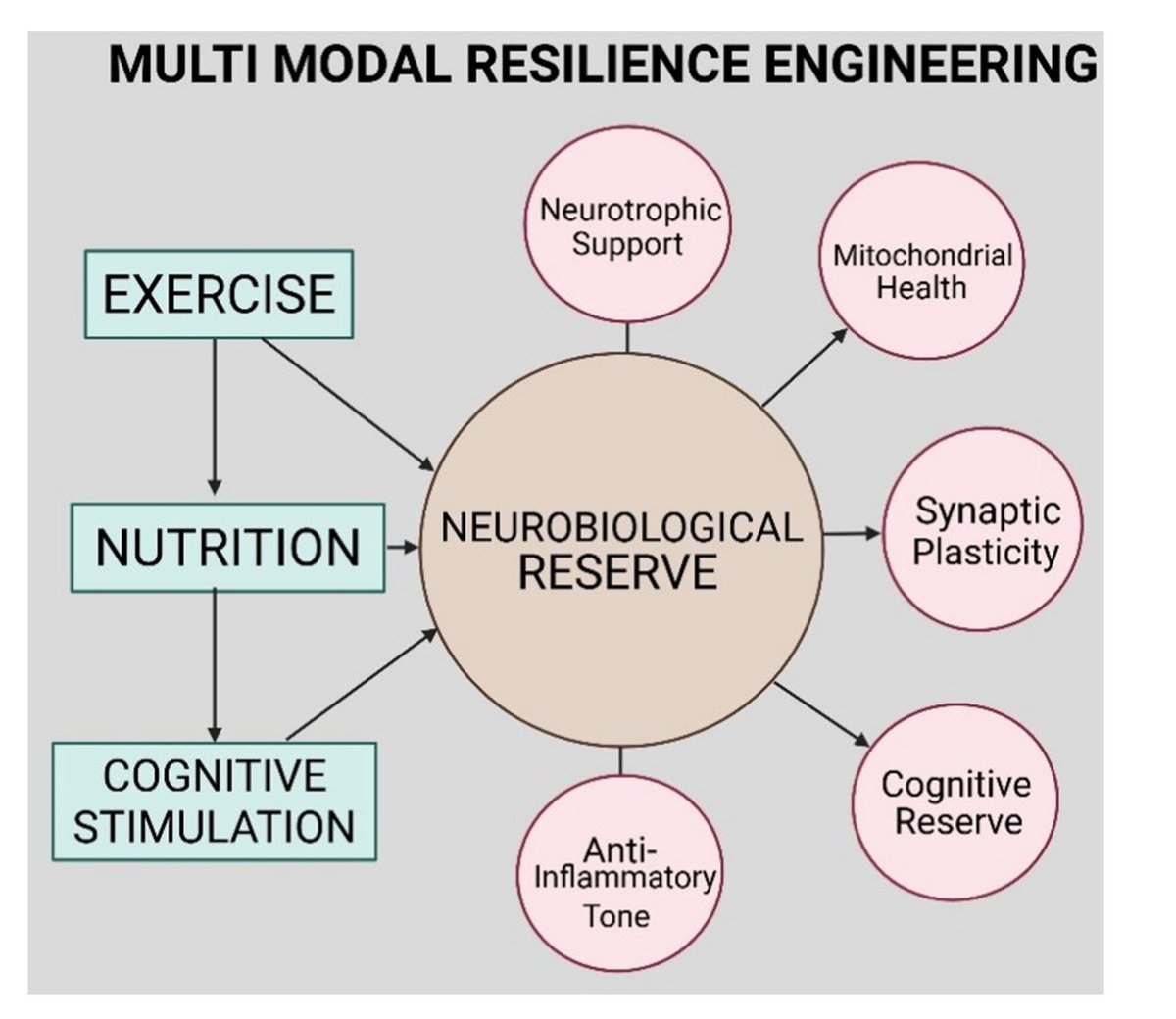 ScienceofPD's tweet image. Can early-life epigenetic &amp;amp; neuroimmune mechanisms predispose individuals to dopaminergic vulnerability (&amp;amp; later life #Parkinsons)? A new review re-conceptualises PD as a lifelong neurobiological trajectory
onlinelibrary.wiley.com/doi/10.1002/ne…