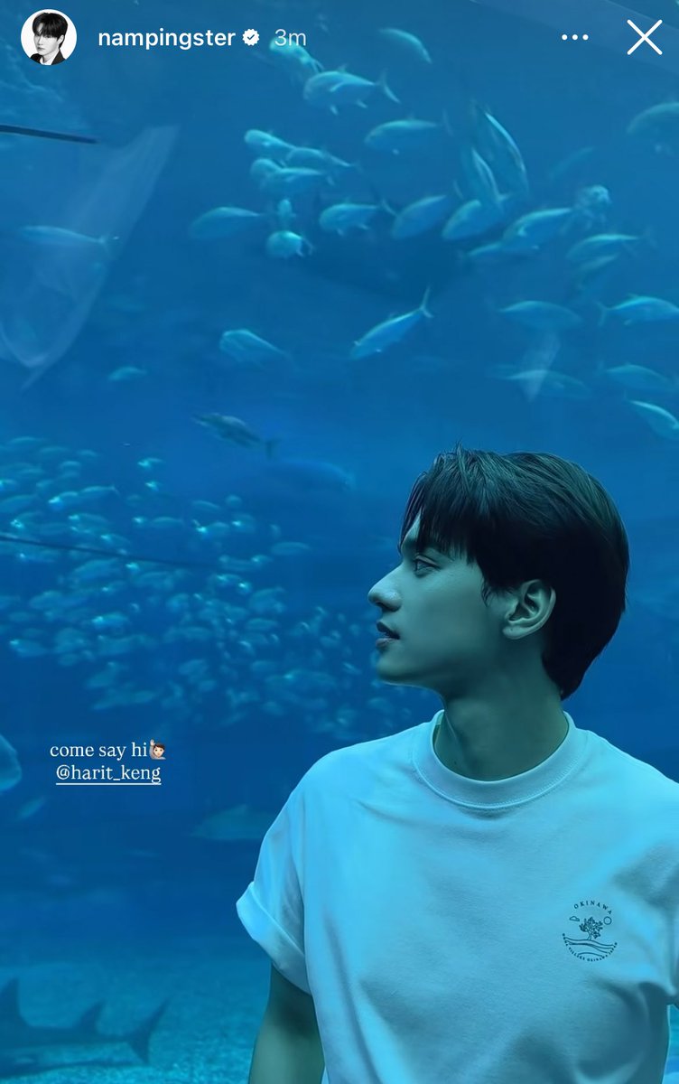 ค้าบบี๋แม่เข้าใจทุกอย่าง