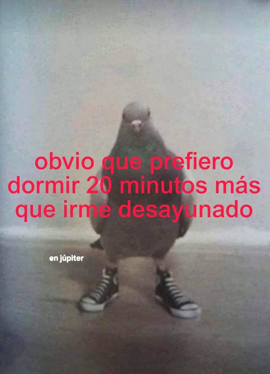 Animalitos en aprietos. tweet media