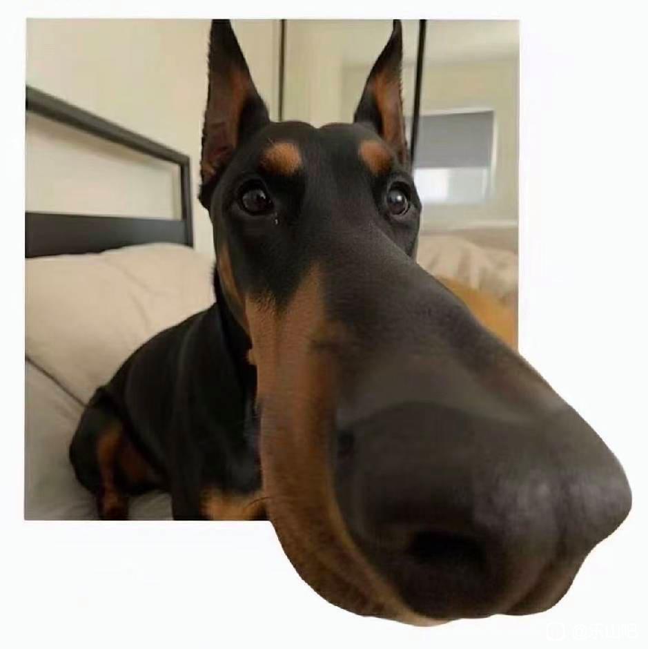 黑胶味唱片 tweet media