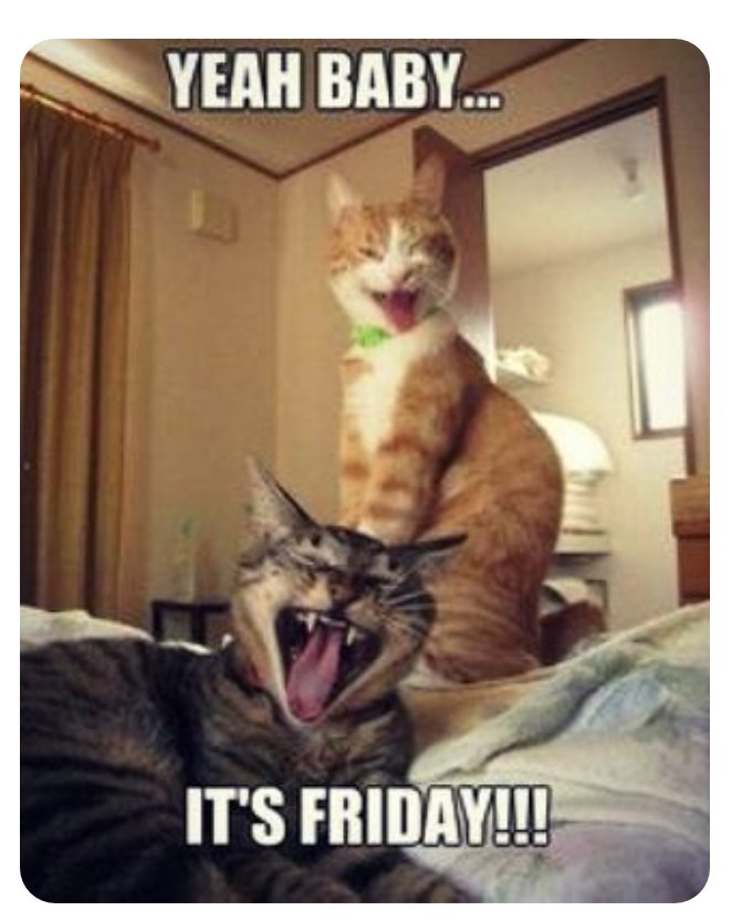 Christopher 🧬⚔️ tweet media