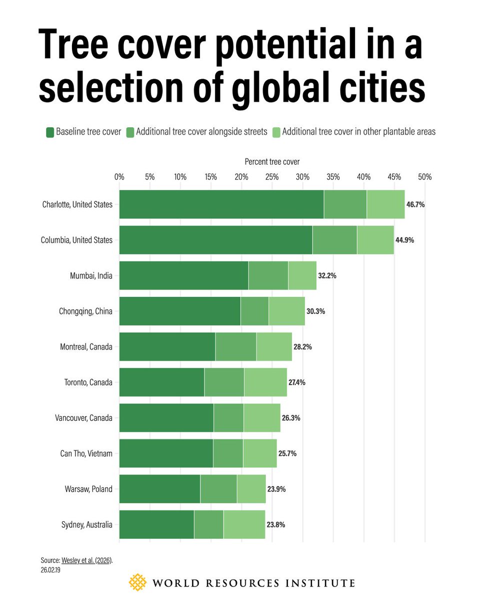 WorldResources's tweet photo. ☀️🍃We analyzed existing and potential tree cover in 66 cities across all major world regions, from smaller cities to large urban areas. 

The results show a clear pattern. Most of these cities have substantial opportunity to increase their tree cover: https://t.co/E8EEMVssuT https://t.co/t5YzYye27Z