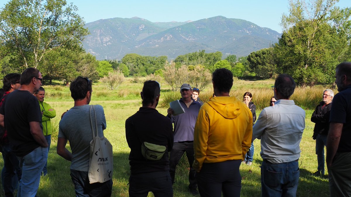 Consorci Forestal tweet media