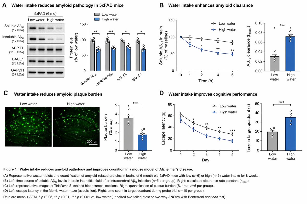 Ruslan Rust tweet media