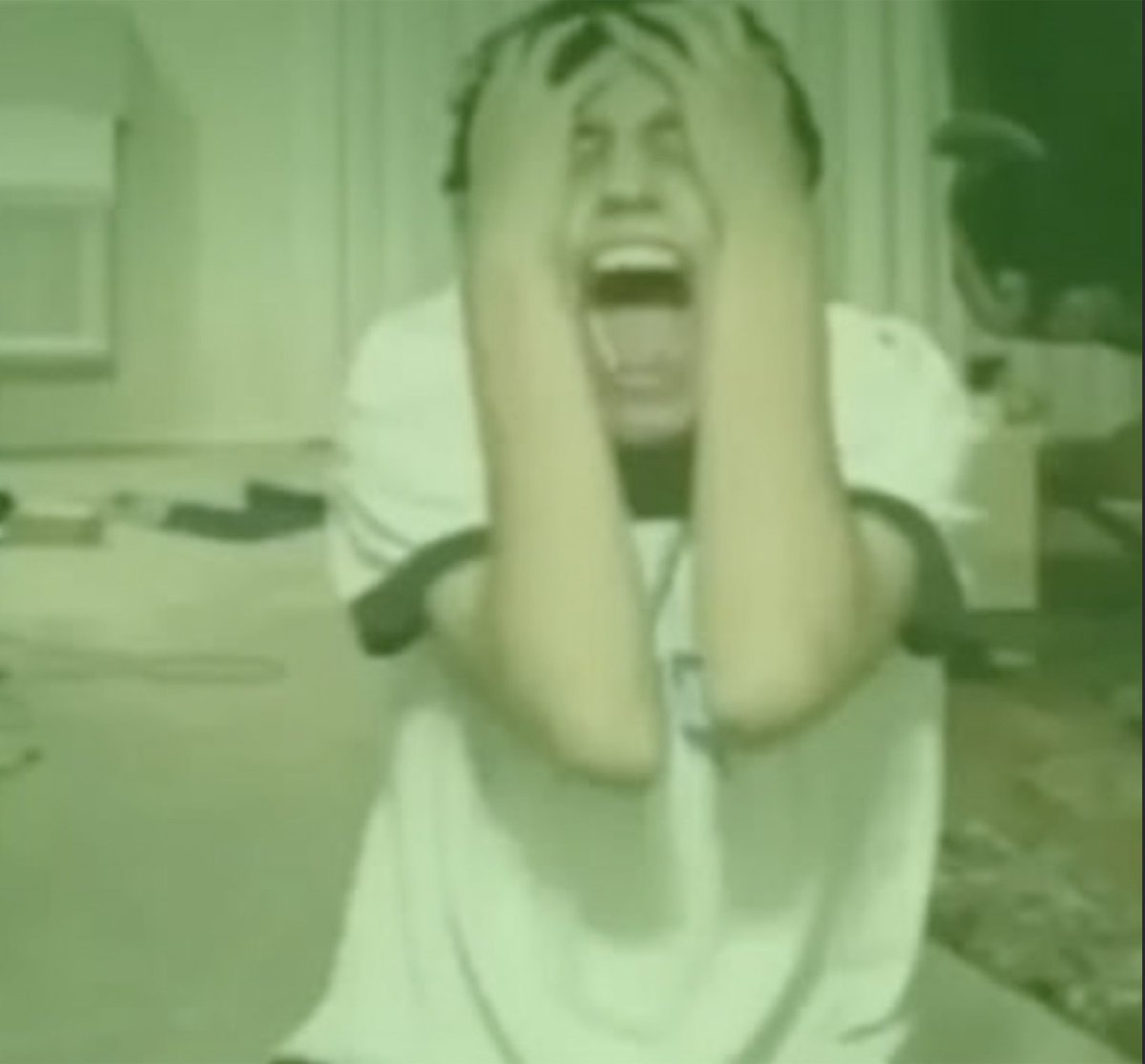 Duolingo Brasil 🇧🇷 tweet media