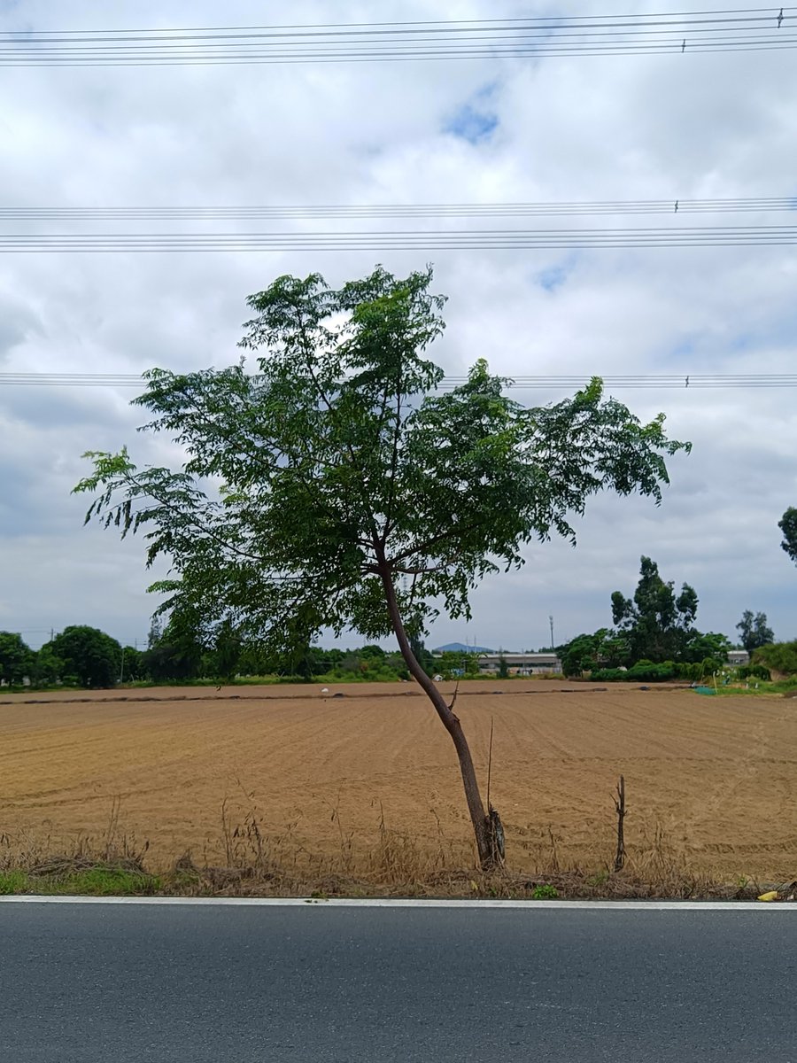 Кирилл tweet media